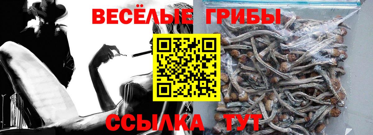 Кандалакша  Псилоцибиновые грибы Magic Shrooms  Вход с VPN  Псилоцибиновые грибы Magic Shrooms 